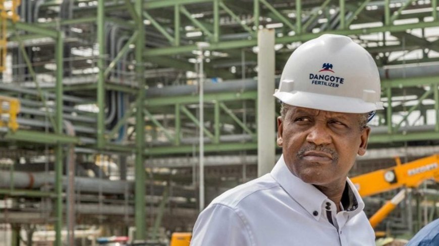 Suspending Steel Investment to Avoid Monopoly Claims; Dangote