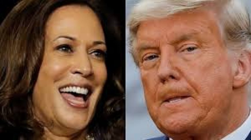 Kamala Harris will be a hard nut for Trump- Nigeria's Former Foreign Affairs Minister