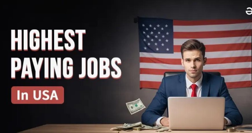 Top 10 Highest Paying Jobs in The USA for Immigrants