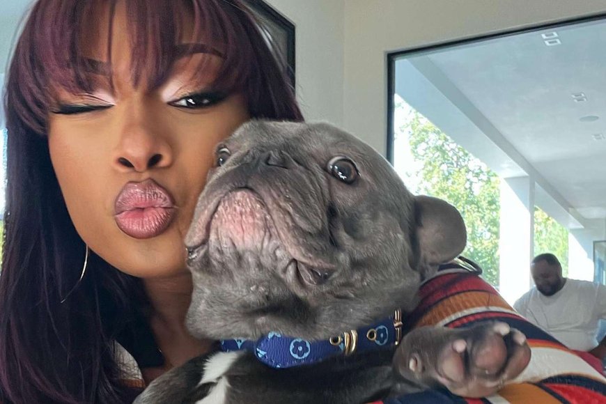 8 Celebrity Pets and Their Super Luxurious Lifestyle