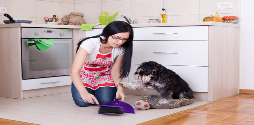 9 Cleaning Hacks Every Pet Owner Should Know