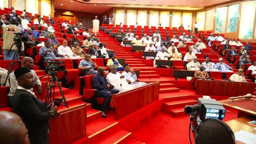 #EndBadGovernance Protest: Northern Senators appeal to youths