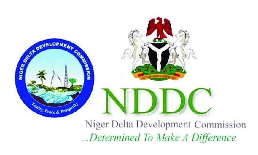 NDDC Encourages Youths to sign up for the N6 billion training program