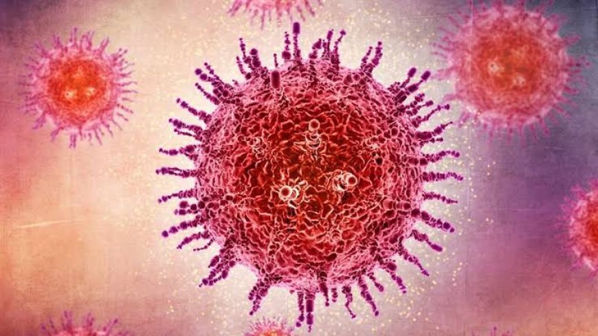 WAKE UP CALL! As Oropouche virus cases "silently surge," a woman passes away