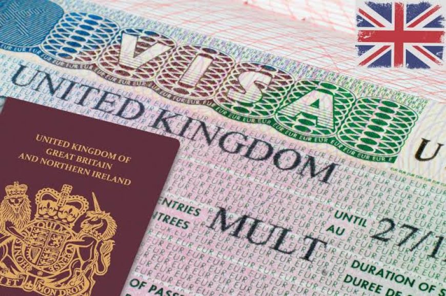 More than 430,000 Nigerians granted visas to the UK in 2024 - NIDCOM