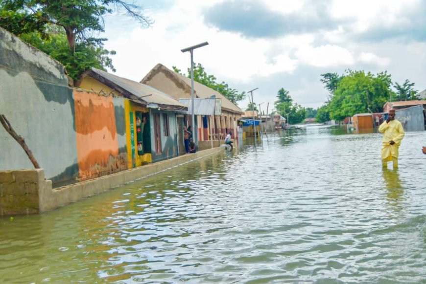 Flood Sacks Over 5, 000 Households In Yobe