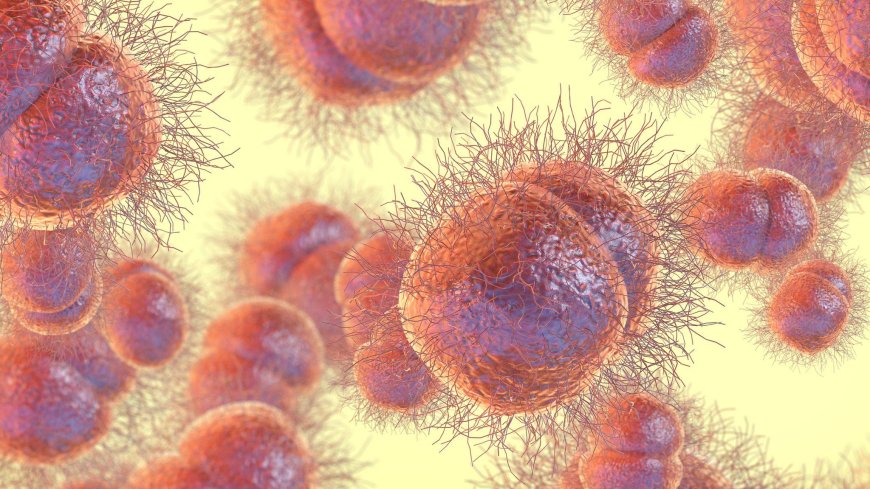 Health Alert: 'Super Gonorrhea' Infections Surge, Resistant to Antibiotics