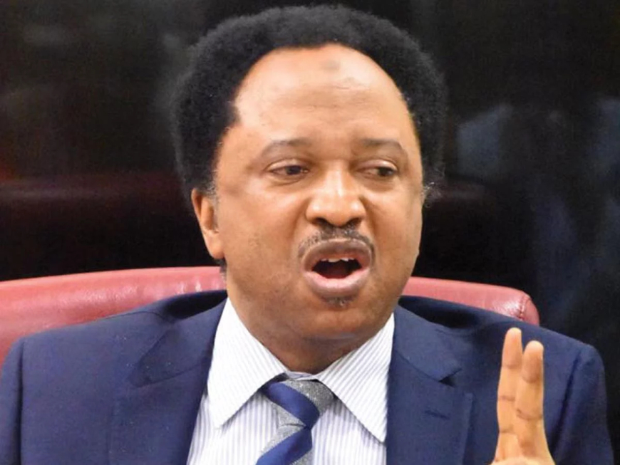 Shehu Sani Reveals Huge Amount Senators Earn Monthly