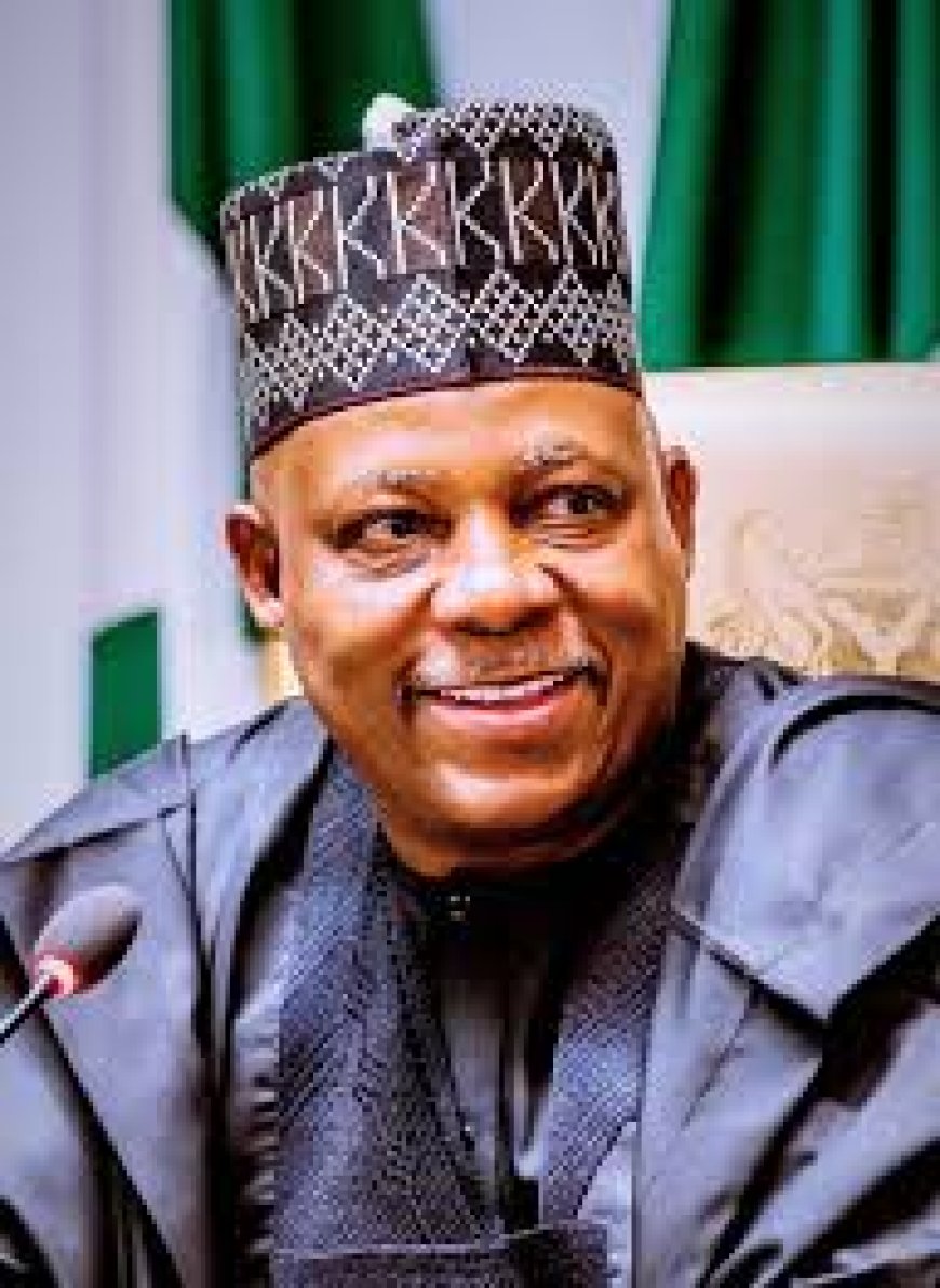 Shettima Warns Against Abuse Of LG Autonomy