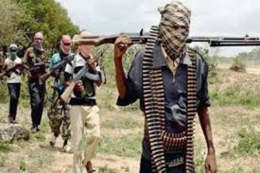 Gunmen Kidnap Over 20 Nigerian Medical Students in Benue