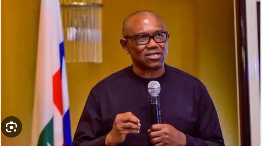 Peter Obi Condemns Serial Kidnapping Of Nigerians