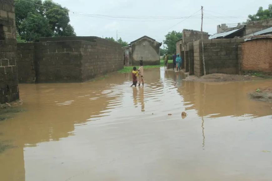 Bauchi Floods: SEMA Confirms 11 More Deaths, Bringing Total to 18