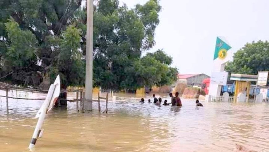 Jigawa Flood claims 33 Lives