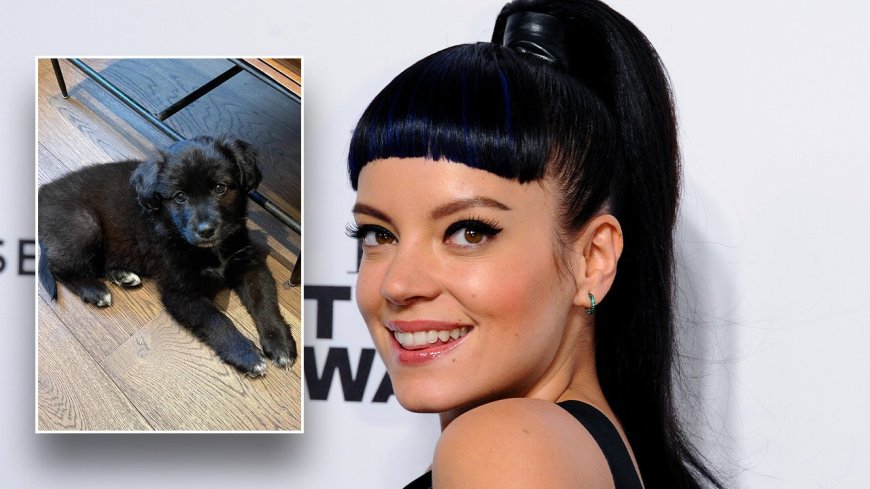 Lily Allen returned adopted puppy after it ate her family’s passports