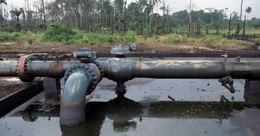 NNPC financially incapacitated to fix pipelines - FG