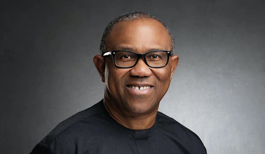 Peter Obi Questions Government’s Plan for Fuel Subsidy Removal