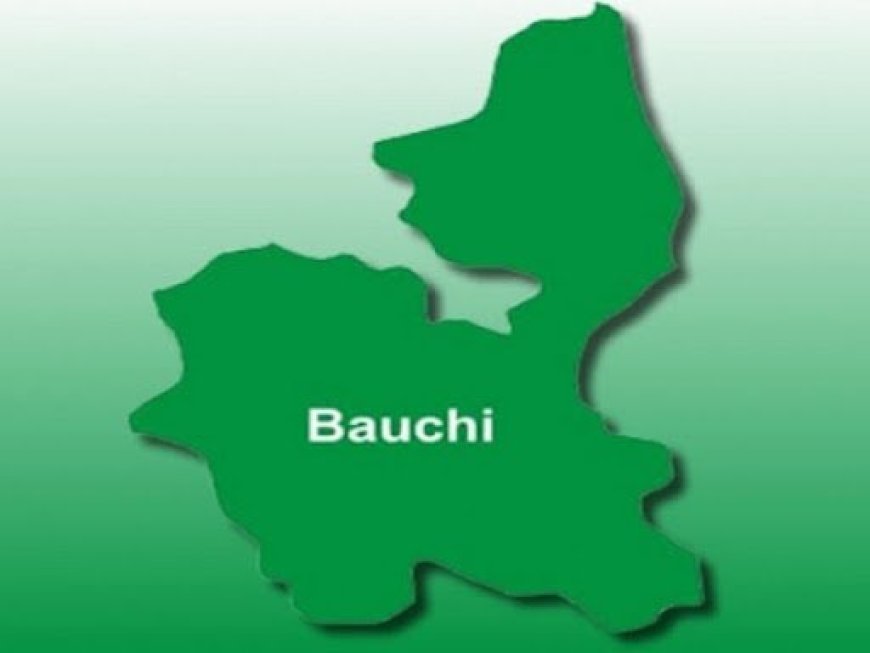 Two suspected kidnappers nabbed by vigilante in Bauchi