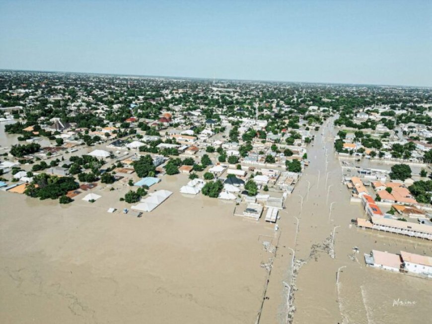 Ahmadu Bello Foundation donates N20m to Maiduguri flood victims