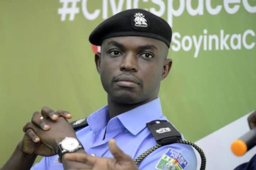 Officers who Harassed and Extorted Corp Members have been Identified- Lagos PRO