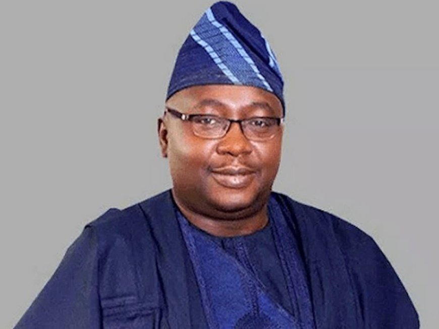 Power Minister Adelabu must be removed – VeryDarkMan