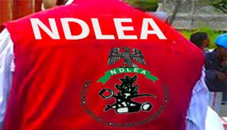 NDLEA discovers heroin concealed in LED rechargeable lights