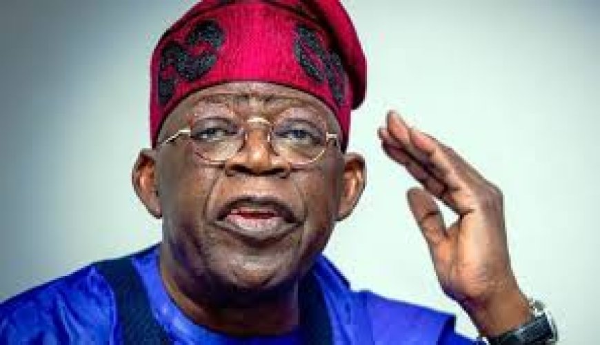 Over 300 Boko Haram and bandit commanders have been neutralized- President Tinubu