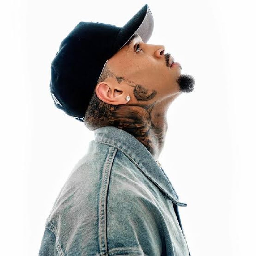 Chris Brown's FNB Stadium Concert in South Africa Sells Out Fast