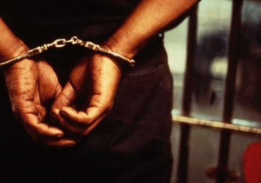 Kano Man Sentenced to 7 Years for Sexual Abuse of Three Boys