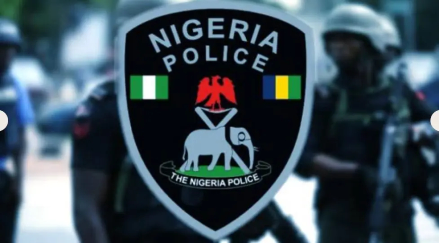 Lagos DPO slumps, dies in office