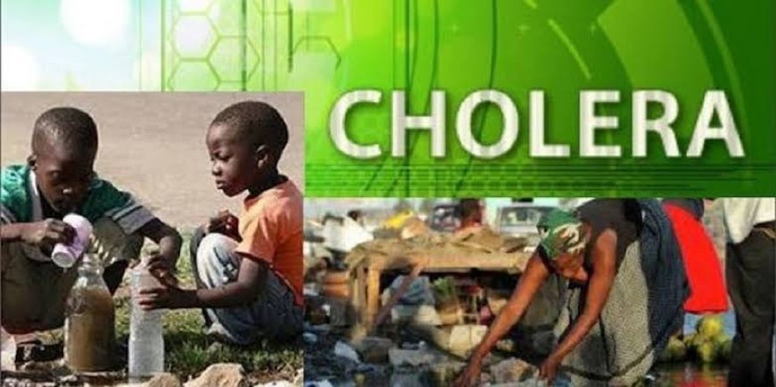 Enugu State Confirms Cholera Outbreak, Urges Residents to Take Preventive Measures