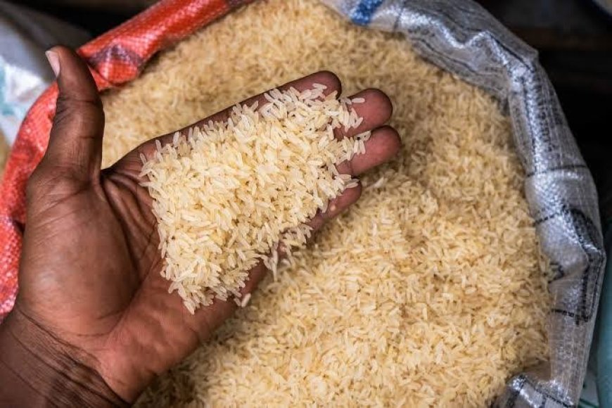 Price Surge: Local rice now ₦95,738 – See prices of beans, eggs, and meat