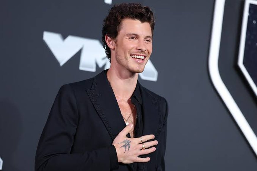 Shawn Mendes Opens Up About His Sexuality During Colorado Concert