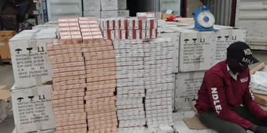 NDLEA Breaks Up Major Cross-Border Drug Syndicates, Seizing Billions in Cocaine and Opioids