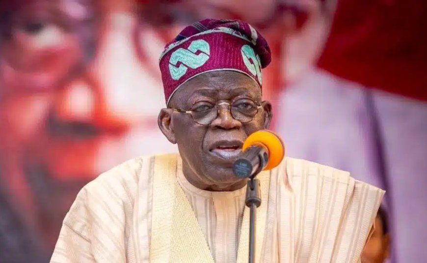 Arewa Consultative Forum Urges Tinubu to Revise Economic Policies Amid Rising Hardship