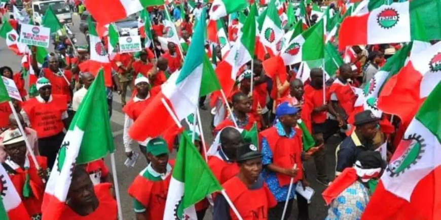 NLC Rejects NBS Unemployment Report, Calls It Misleading and Unrealistic