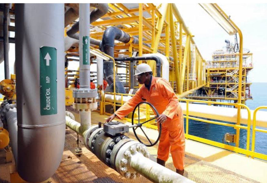 Nigeria’s Oil Production Rises 9.9% in November 2024, Hits 1.69 Million BPD