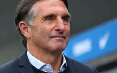 Super Eagles Manager Bruno Labbadia Resigns