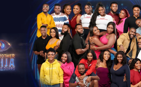 BBNaija 'No Loose Guard Season' Twins lose fans After Mocking Evicted Housemate